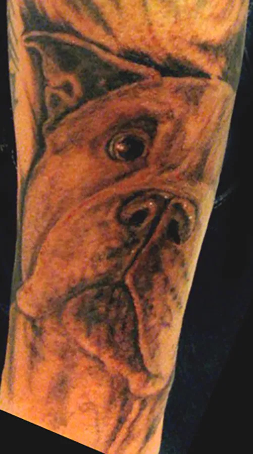 Ink gallery photo 10