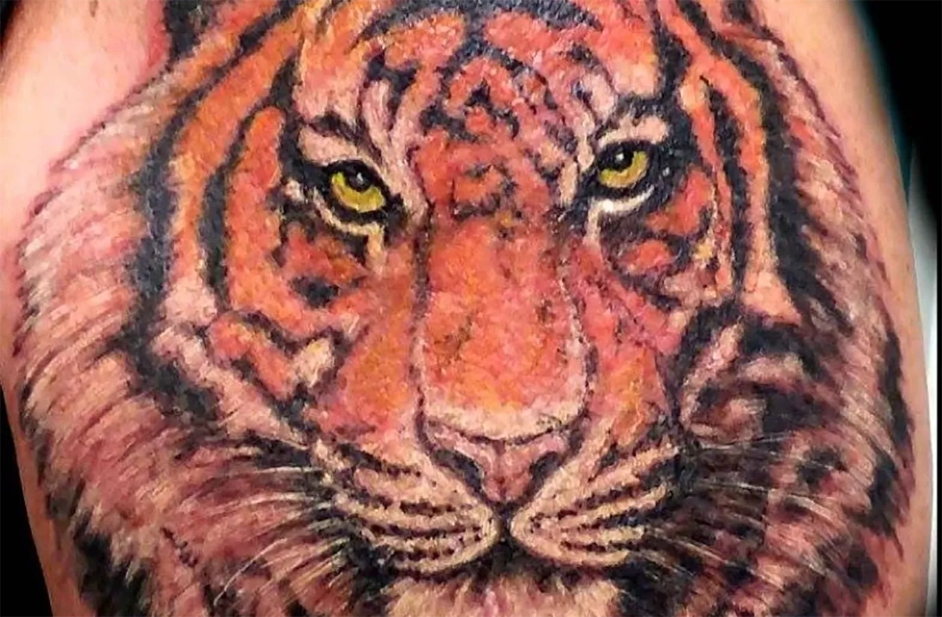 Ink gallery photo 35