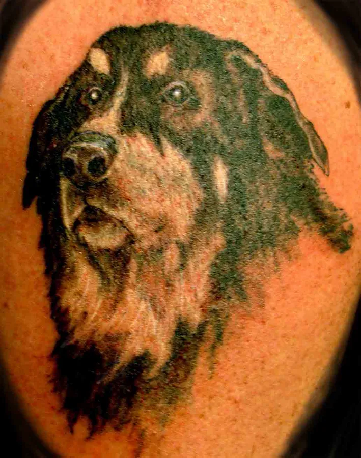 Ink gallery photo 70