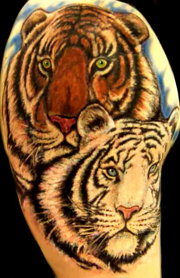 Ink gallery photo 85